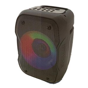 Parlante Amplificado