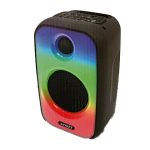 Parlante Amplificado