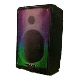 Parlante Amplificado