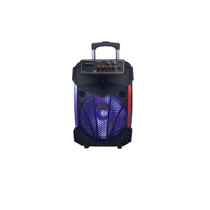 Parlante Amplificado